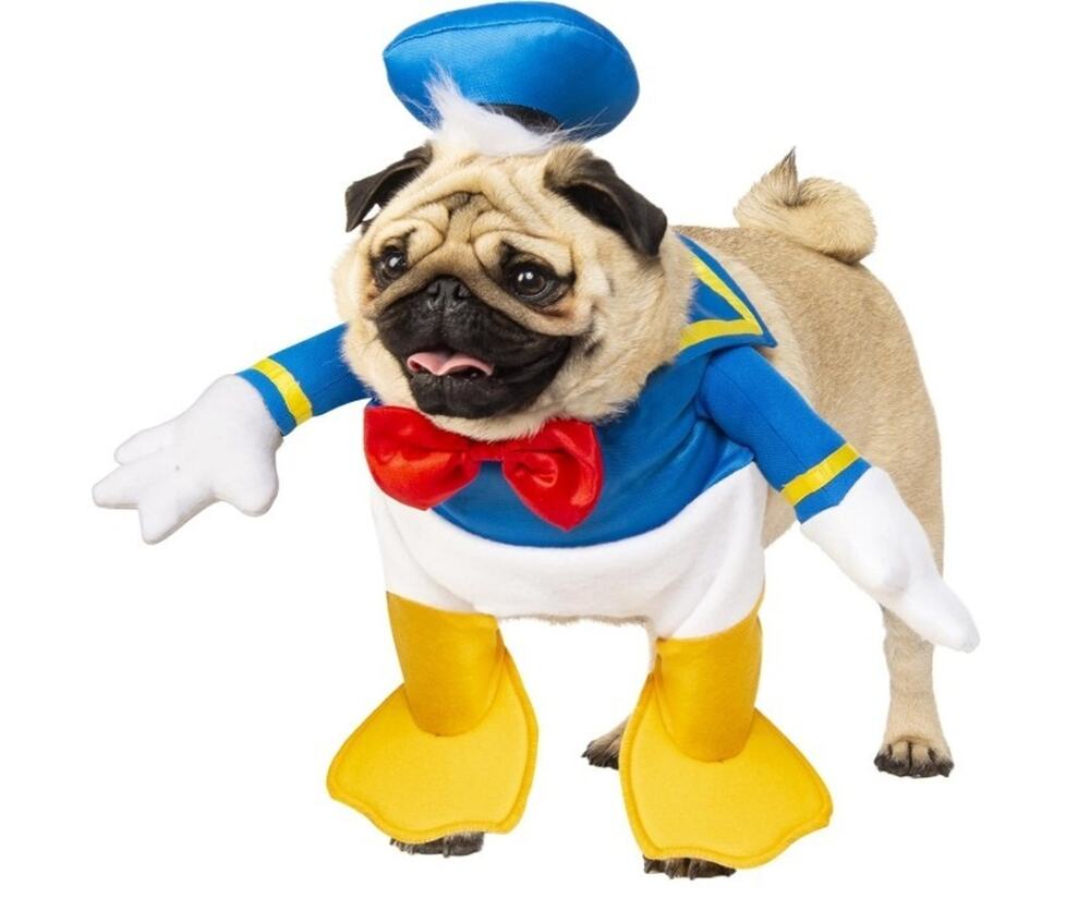 Rubie's Costume Company Walking Donald Duck Dog Costume, SZ S